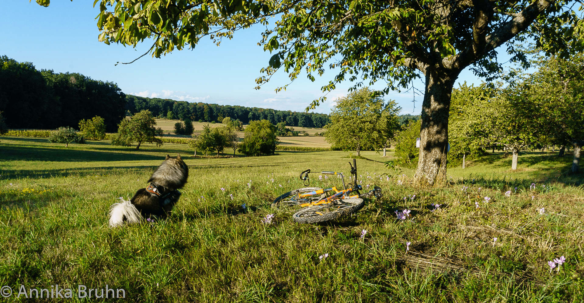 Fahrrad Pause